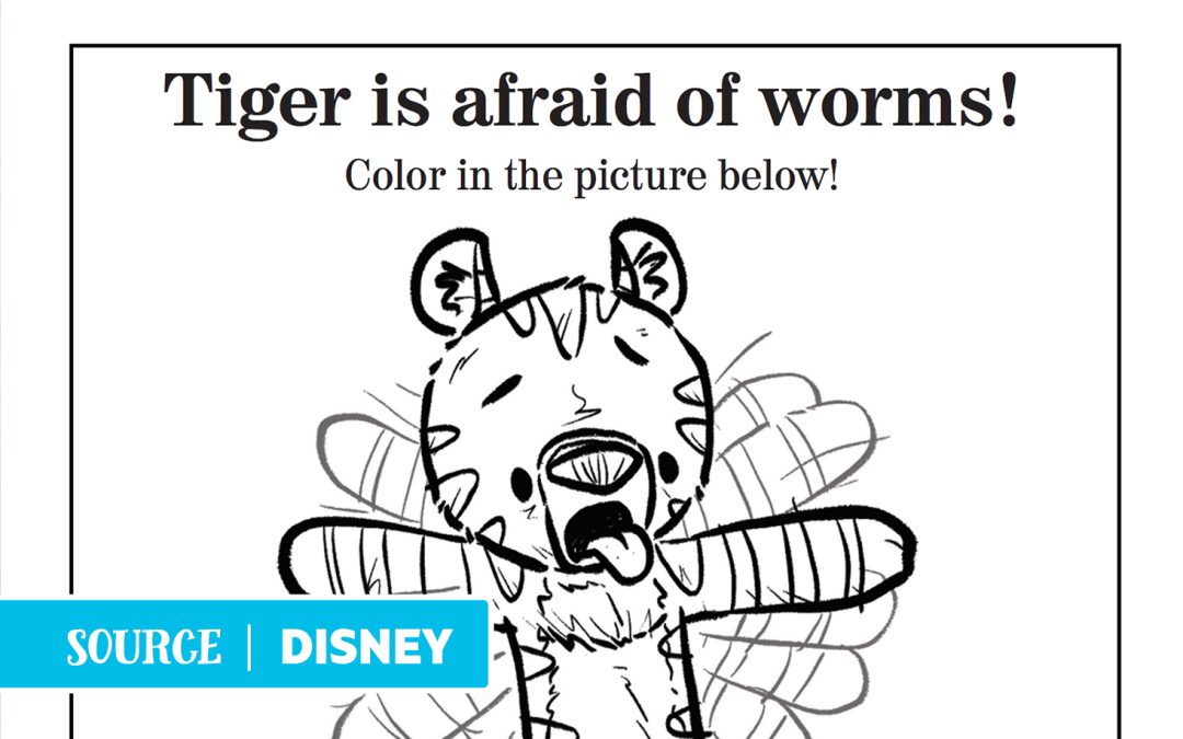 “What About Worms” – Activities